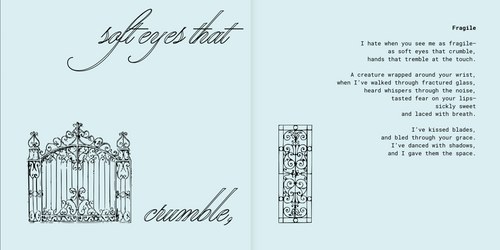 tender : poetry book