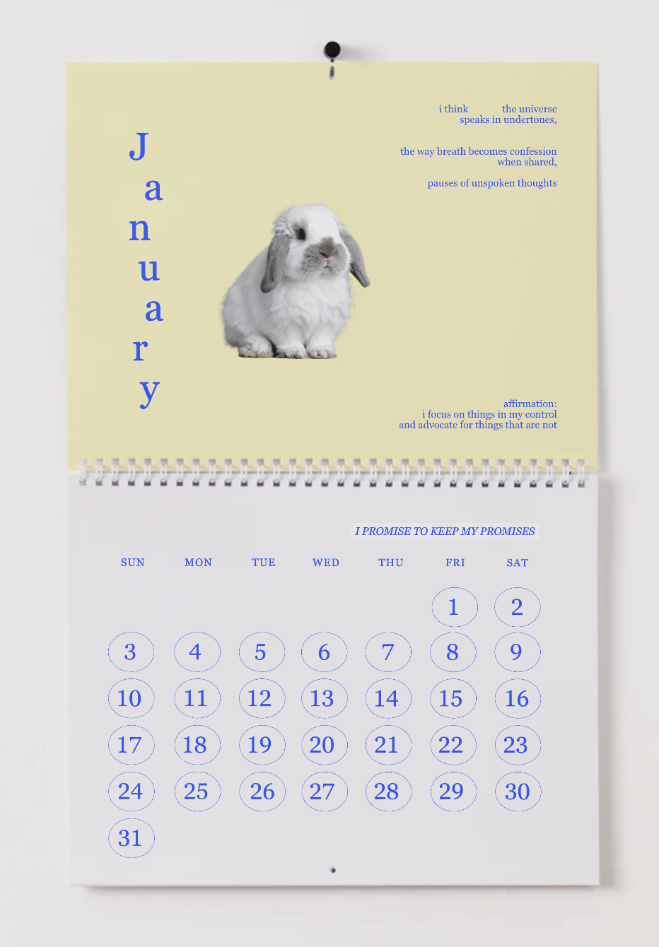 2027 calendar (digital download)